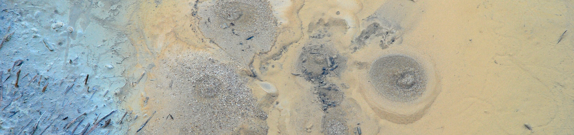 Izvori vode u pijesku 2010.